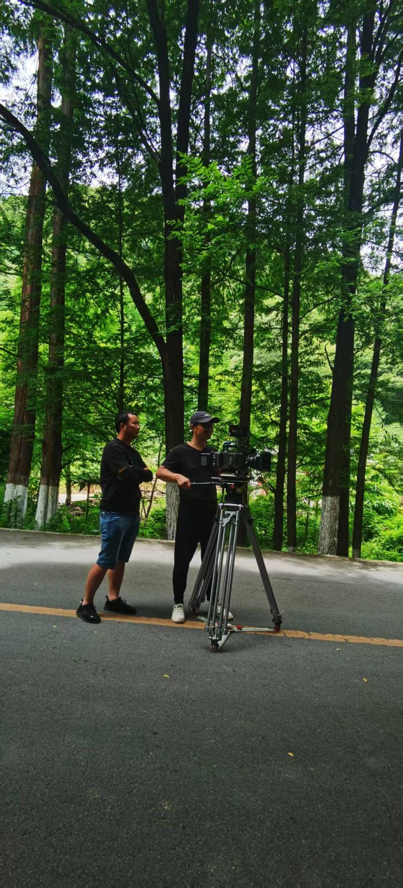 初创公司VS行业巨头——达川区宣传片拍摄服务商定制化解决方案对比